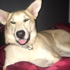 Meet your Posher, Jp